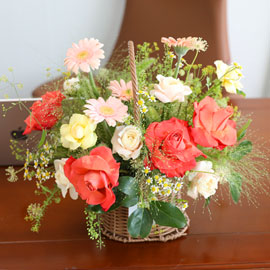 Orange blossom ɹ 