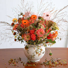 Autumn Breeze ɹ 