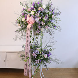 Purple Modern Elegance ɹ 