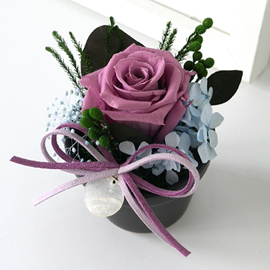 Endless Love - ����&���̿÷� �ɹ�� ����