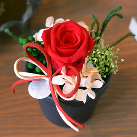 Endless Love - ����&���� �ɹ�� ����