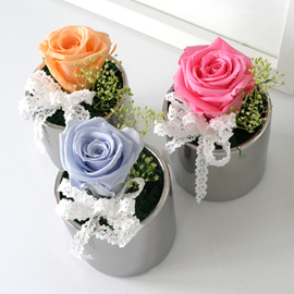 Endless Love - �ǹ�ȭ�� 3set �ɹ�� ����