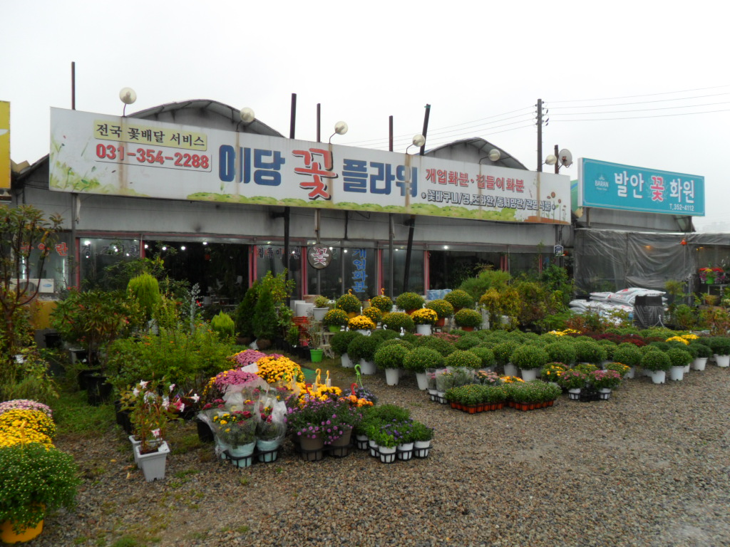 꽃배달 - 예당플라워 플라워119꽃배달서비스 - 생일, 개업, 축하, 근조 꽃배달 전문 카테고리 꽃다발 , 꽃배달, 꽃선물, 전국꽃배달서비스... 