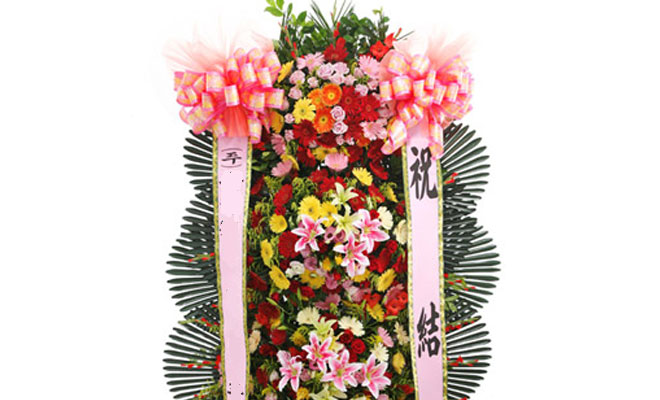 ���� �̹���