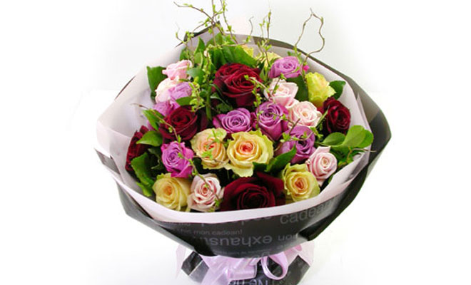 ���� �̹���