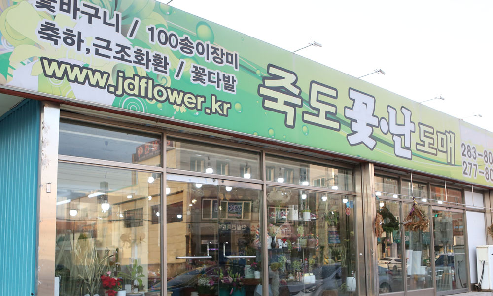 경상북도포항시 북구 꽃배달, 경상북도포항시 북구 꽃집, 경상북도 포항시 북구 양학로 12 꽃집, (학잠동) 죽도꽃집 꽃집, 경상북도 포항시 북구... 