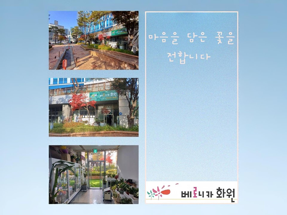 ���� �̹���