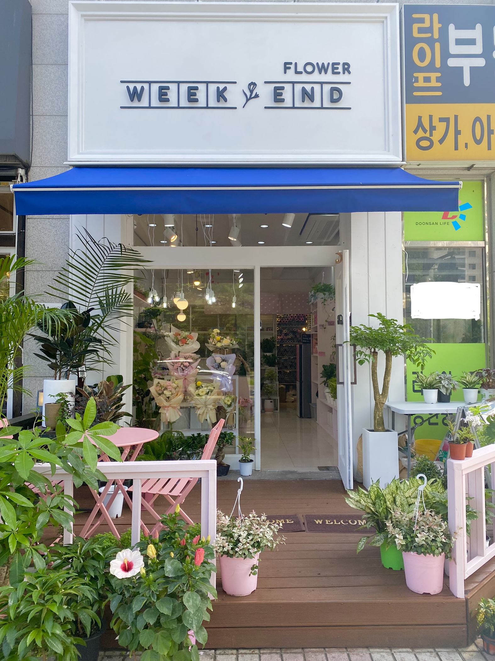 (둔산동) 꽃집, 대전광역시 서구 둔산북로 22 꽃배달, 161호 플라워위크앤드(둔산동) 꽃배달 - 플라워위크앤드 플라워119꽃배달서비스 - 생일... 