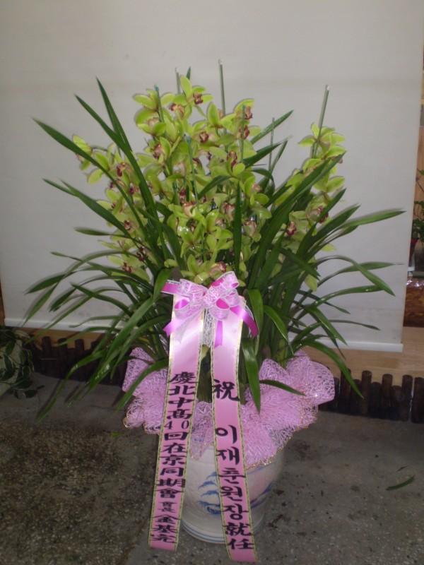 경상북도안동시 꽃배달, 경상북도안동시 꽃집, 경북 안동시 태화동 꽃집, 248-40 꽃집, 경북 안동시 태화동 꽃배달, 248-40 꽃배달 - 안동팔팔꽃화... 