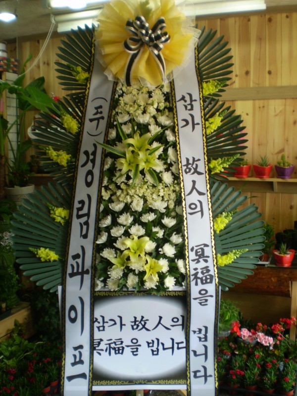 경상북도안동시 꽃배달, 경상북도안동시 꽃집, 경북 안동시 태화동 꽃집, 248-40 꽃집, 경북 안동시 태화동 꽃배달, 248-40 꽃배달 - 안동팔팔꽃화... 