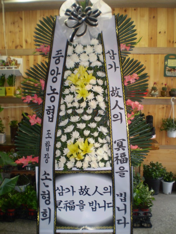 경상북도안동시 꽃배달, 경상북도안동시 꽃집, 경북 안동시 태화동 꽃집, 248-40 꽃집, 경북 안동시 태화동 꽃배달, 248-40 꽃배달 - 안동팔팔꽃화... 