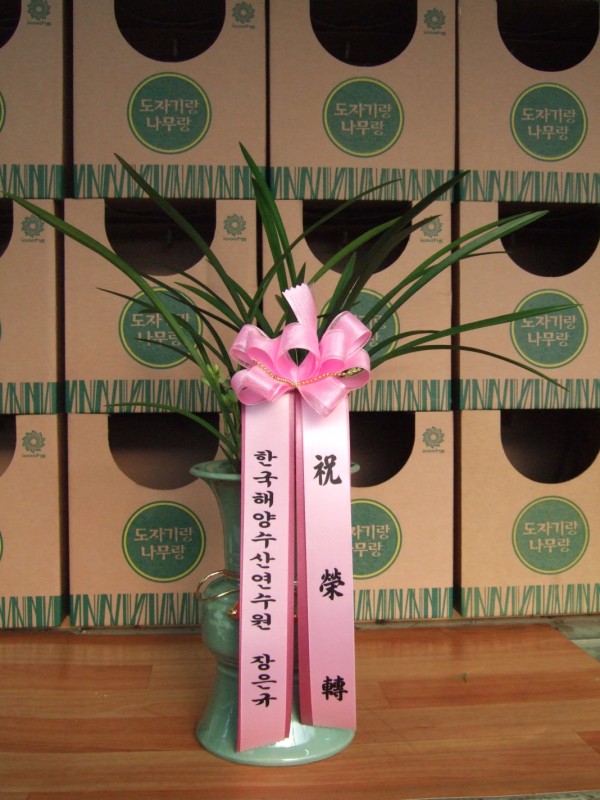 경기도과천시 꽃배달 꽃집 - 도자기랑나무랑 플라워119꽃배달서비스... 화병, 포도주, 와인, 결혼, 약혼, 아기탄생, 전시회, 연주회, 개업, 이전... 