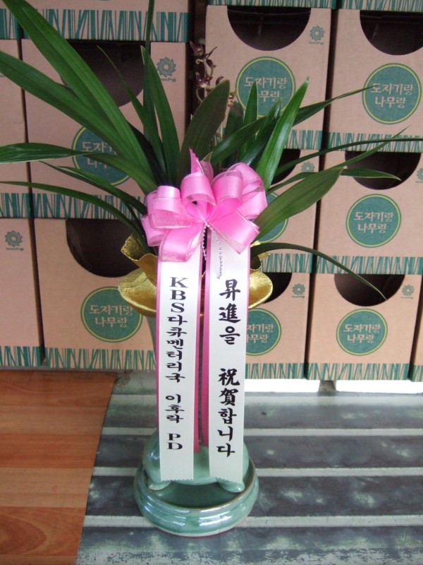 경기도과천시 꽃배달 꽃집 - 도자기랑나무랑 플라워119꽃배달서비스... 화병, 포도주, 와인, 결혼, 약혼, 아기탄생, 전시회, 연주회, 개업, 이전... 