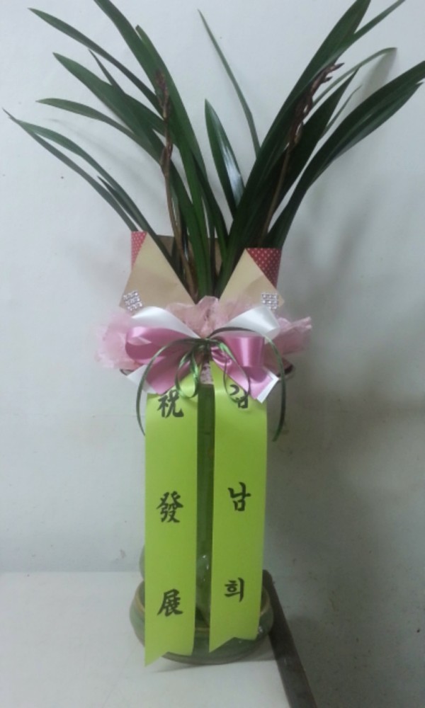 원플라워 플라워119꽃배달서비스 - 생일, 개업, 축하, 근조 꽃배달 전문 카테고리 꽃다발 , 꽃배달, 꽃선물, 전국꽃배달서비스,맞춤꽃배달,꽃... 