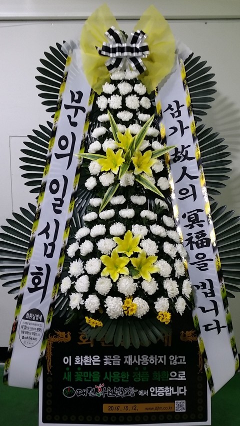 원플라워 플라워119꽃배달서비스 - 생일, 개업, 축하, 근조 꽃배달 전문 카테고리 꽃다발 , 꽃배달, 꽃선물, 전국꽃배달서비스,맞춤꽃배달,꽃... 
