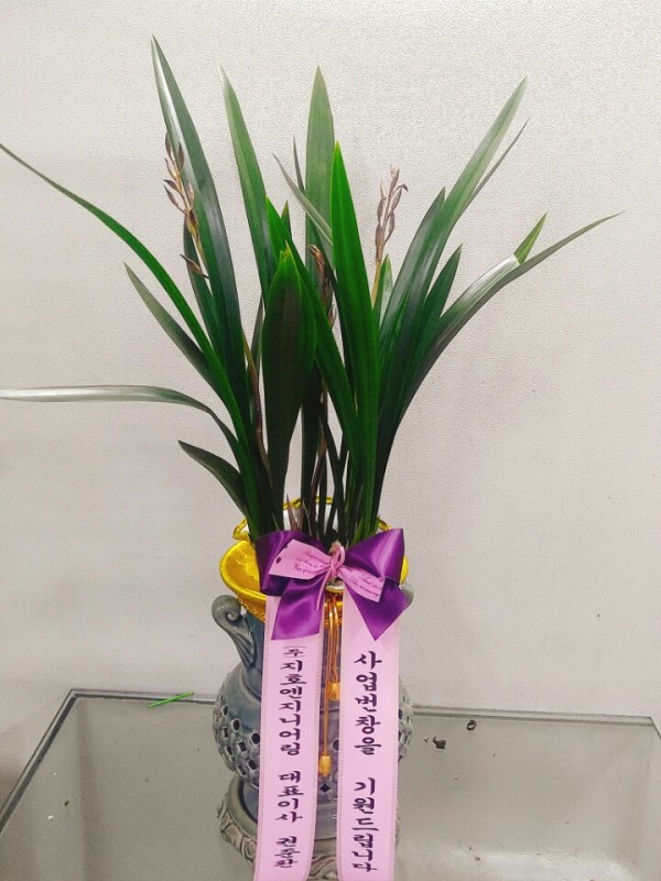 원플라워 플라워119꽃배달서비스 - 생일, 개업, 축하, 근조 꽃배달 전문 카테고리 꽃다발 , 꽃배달, 꽃선물, 전국꽃배달서비스,맞춤꽃배달,꽃... 