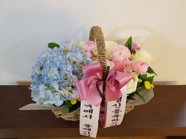 Ưó  ö(rosabellia.com) ɹ ̹