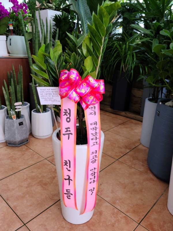 강원도인제군 꽃배달, 강원도인제군 꽃집, 강원도 인제군 인제읍 비봉로 7 꽃집, 꽃집, 강원도 인제군 인제읍 비봉로 7 꽃배달, 꽃배달 - 샤론화원... 