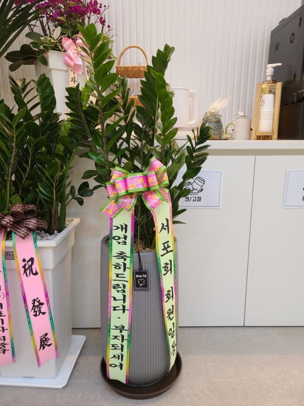 경기도화성시 꽃배달 꽃집 - 예당플라워 플라워119꽃배달서비스 - 카테고리 꽃다발 , 꽃배달, 꽃선물, 전국꽃배달서비스,맞춤꽃배달,꽃, 꽃집... 