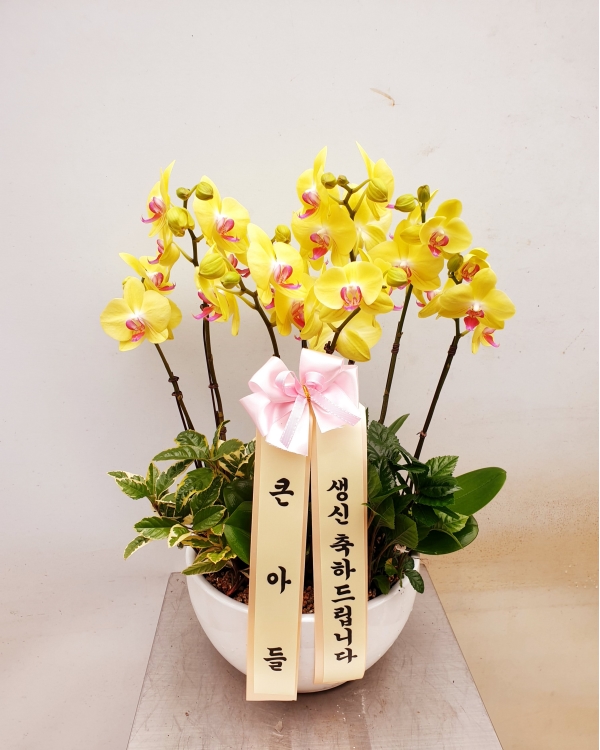 서울특별시강서구 꽃배달, 서울특별시강서구 꽃집, 서울특별시 강서구 오정로 385 꽃집, 오쇠꽃단지 내 김포꽃도매(오쇠동) 꽃집, 서울특별시... 