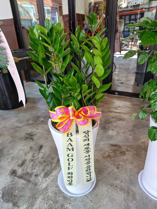 경기도포천시 꽃배달, 경기도포천시 꽃집, 경기도 포천시 소흘읍 솔모루로92번길 1 꽃집, 늘봄꽃화원 꽃집, 경기도 포천시 소흘읍... 