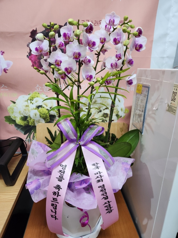 ���ϵ���õ�� ���� ��Ÿ�÷ζ� �ɹ�� �̹���