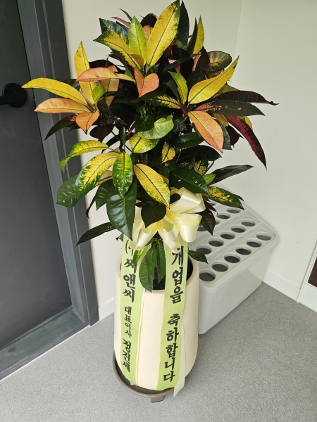 ����Ư����ġ�������� ���� �ݰ���ȭ�� �ɹ�� �̹���