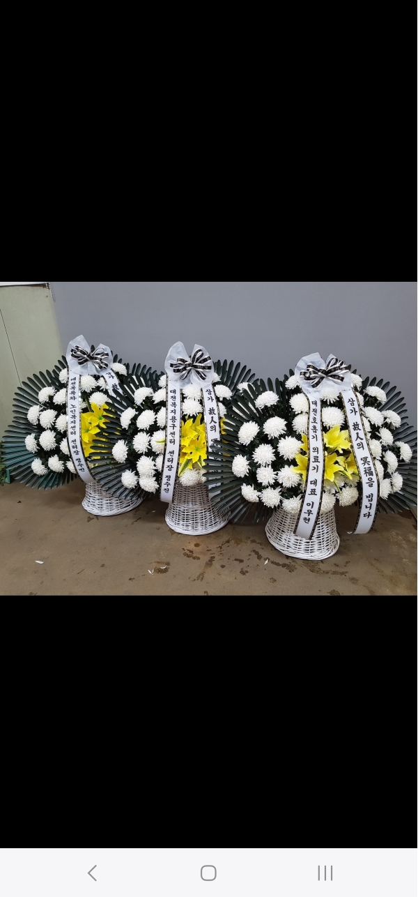 ����Ư����ġ�������� ���� �ݰ���ȭ�� �ɹ�� �̹���