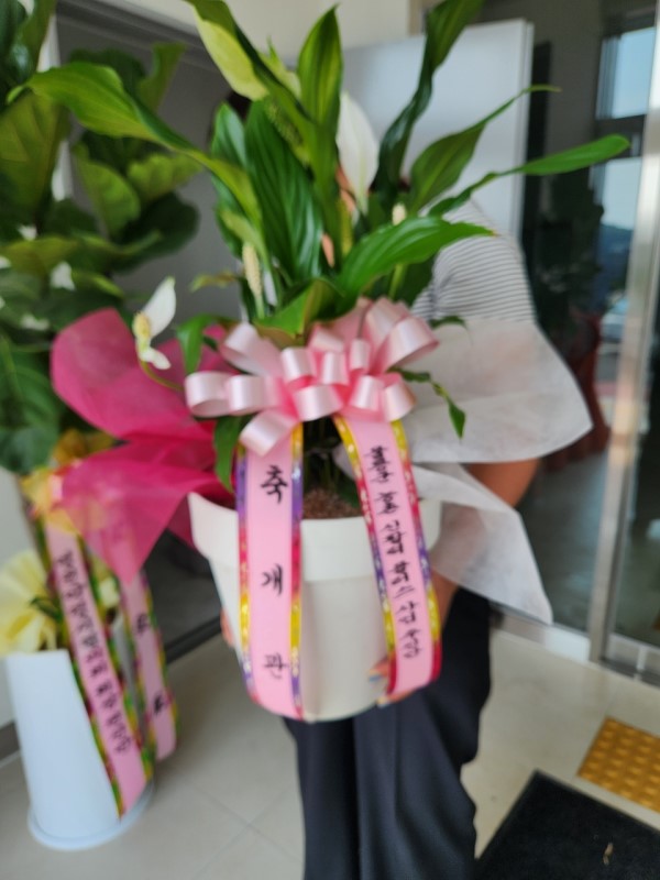 ���ϵ���õ�� ���� ��Ÿ�÷ζ� �ɹ�� �̹���