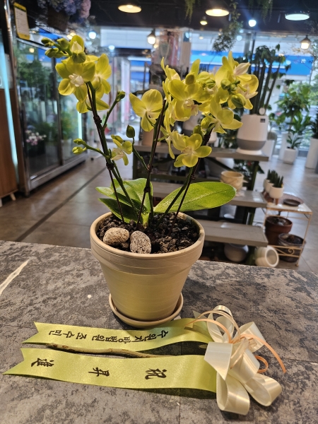 ����Ư����ġ�������� ���� �ݰ���ȭ�� �ɹ�� �̹���