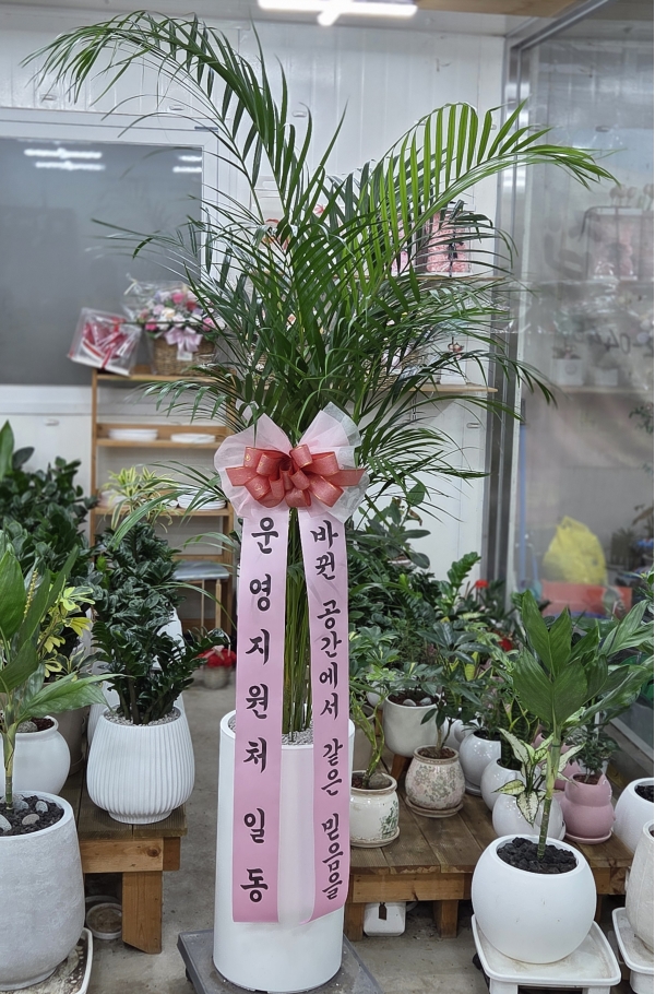뱸úϱ  ĥɵŽ峻 켺 ɹ ̹