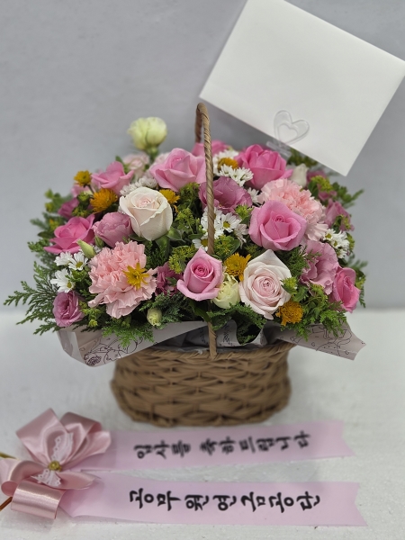 뱸úϱ  ĥɵŽ峻 켺 ɹ ̹