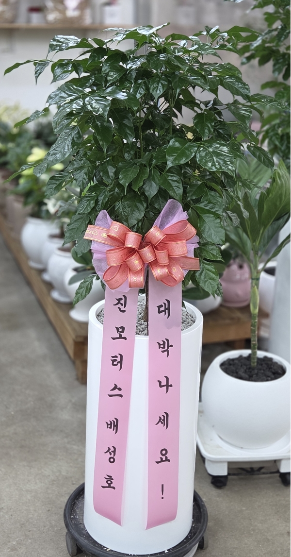 뱸úϱ  ĥɵŽ峻 켺 ɹ ̹