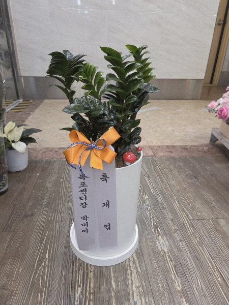 ���������ü��� ���� �������� �ɹ�� �̹���