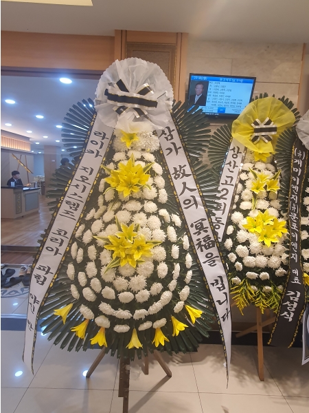 ����ϵ����ֽ� �ϻ걸 ���� �������� �ɹ�� �̹���