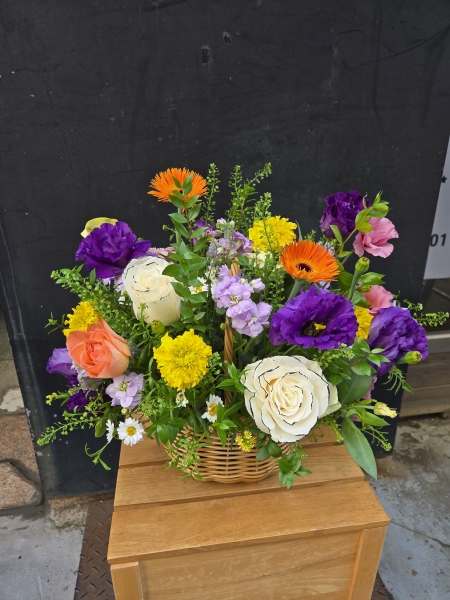 Ưüı  󺥴ö ɹ ̹