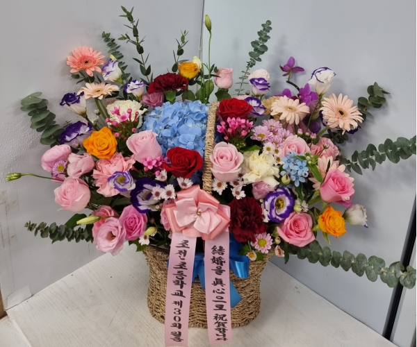 λ걤úλ  ö119 λ  ɹ ̹