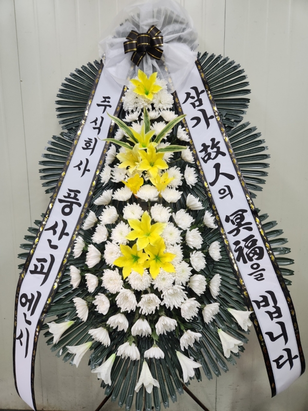 ����ϵ����ֽ� �ϻ걸 ���� �������� �ɹ�� �̹���