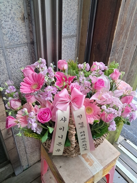 ����Ư���ü����� ���� ����ȭ�� �ɹ�� �̹���