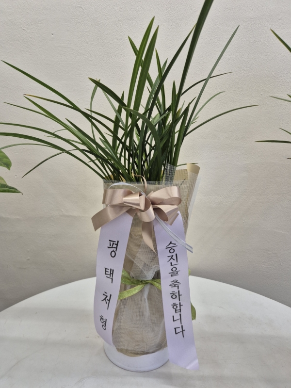 ��û�ϵ����� ���� NFlower �ɹ�� �̹���