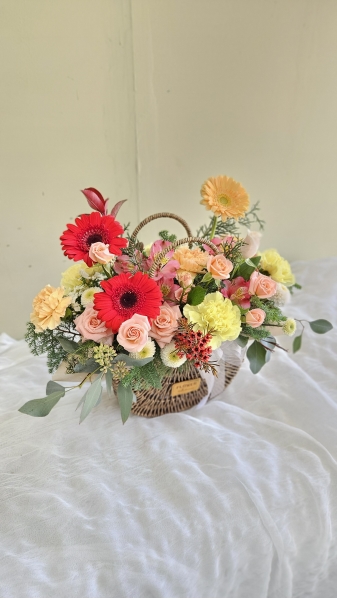 ���ϵ����׽� �ϱ� ���� �����÷������� �ɹ�� �̹���