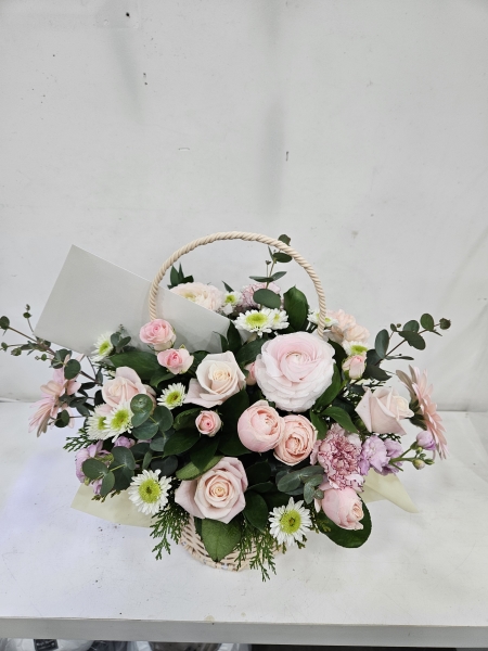 ��⵵���ֽ� ���� �ú�ȭ�� �ɹ�� �̹���