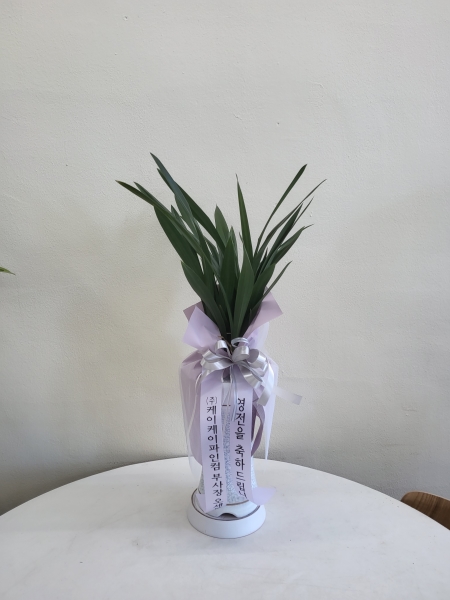 ��û�ϵ����� ���� NFlower �ɹ�� �̹���