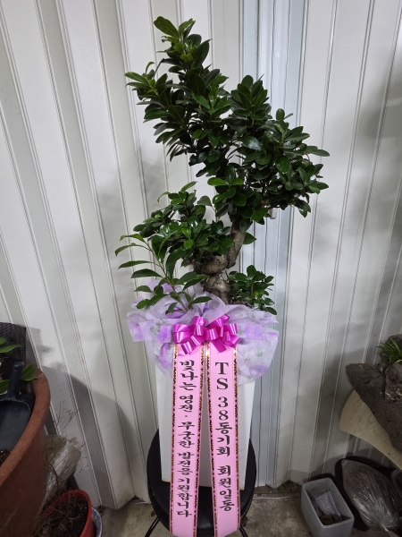 ���ϵ���õ�� ���� �ѱ���ȭ�� �ɹ�� �̹���