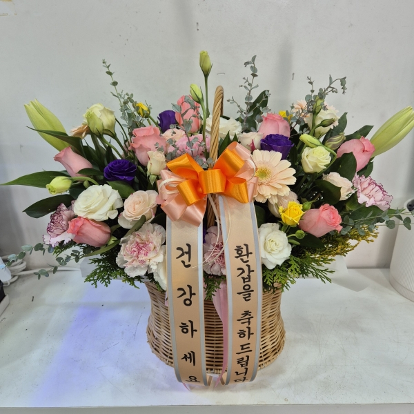 ��⵵���ֽ� ���� �ú�ȭ�� �ɹ�� �̹���