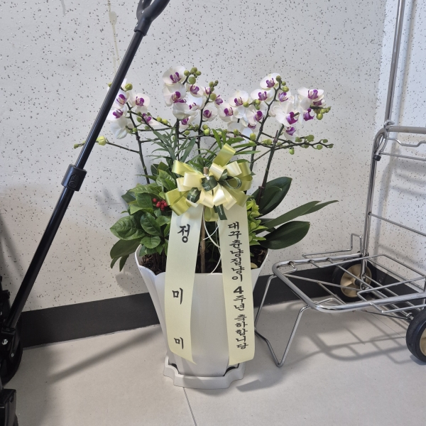 ��⵵���ֽ� ���� �ú�ȭ�� �ɹ�� �̹���