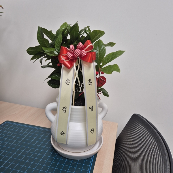 ��⵵���ֽ� ���� �ú�ȭ�� �ɹ�� �̹���