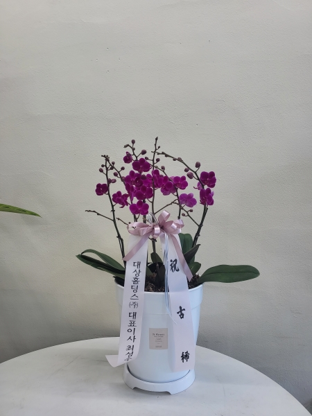 ��û�ϵ����� ���� NFlower �ɹ�� �̹���