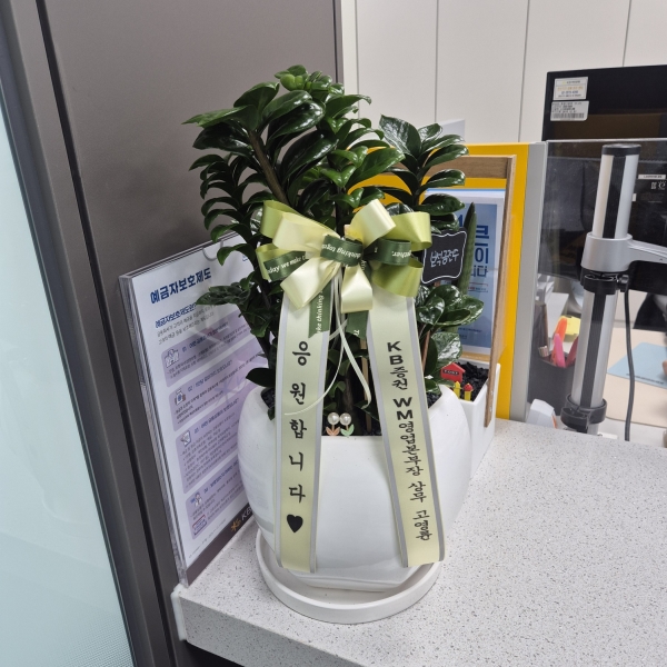 ��⵵���ֽ� ���� �ú�ȭ�� �ɹ�� �̹���