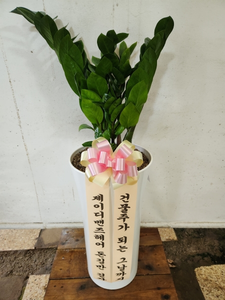 ��û�����ƻ�� ���� ���γ�� �ɹ�� �̹���